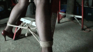 www.faythonfire.com - Bonus Update: Arielle Ladder Bound & Drooling thumbnail