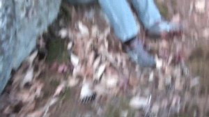 www.faythonfire.com - Bonus Update: Trample Thru the Woods thumbnail