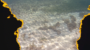 www.faythonfire.com - Bonus Update: Naked Snorkeling In Jamaica thumbnail