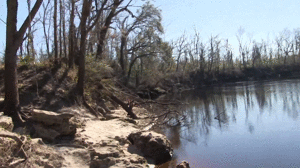 www.faythonfire.com - Tied & Left To Struggle On Rivers Edge  thumbnail